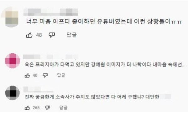 사진=유튜브 댓글 캡처