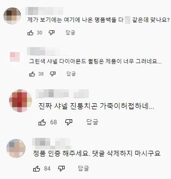 박지현 유튜브 댓글 / 사진='day지현'