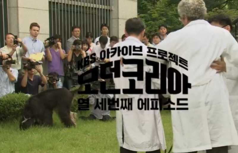 KBS 다큐인사이트 '모던 코리아 - 멋진 신세계' 방송 캡처