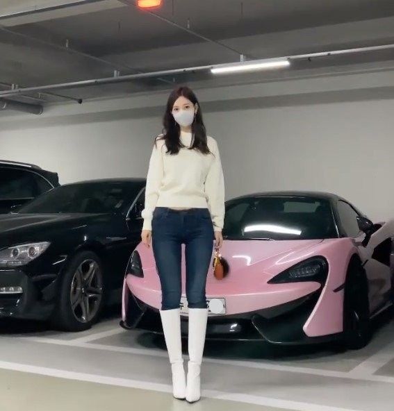 야옹이 인스타그램