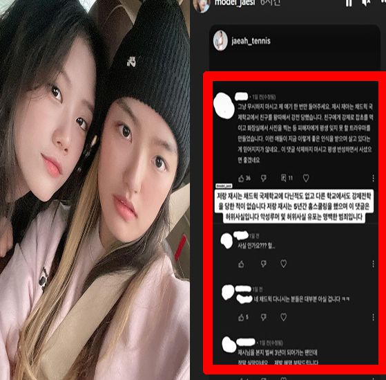 이동국 딸 학폭 논란 / 온라인 커뮤니티