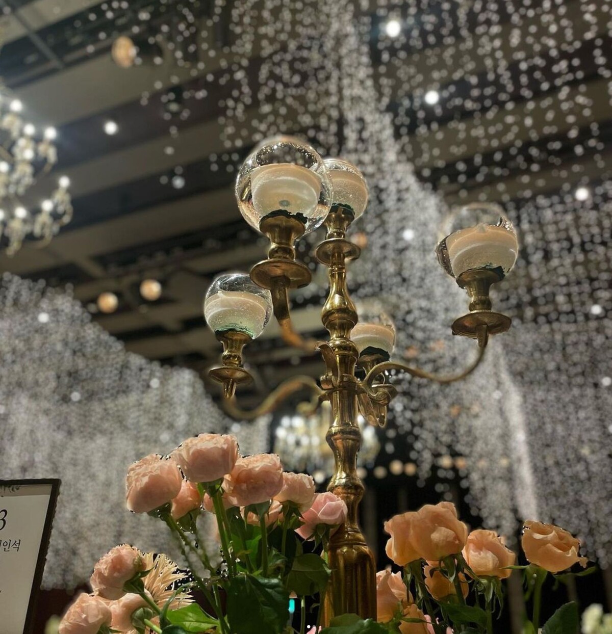 야옹이 결혼식장에 간 주호민 / 주호민 인스타그램