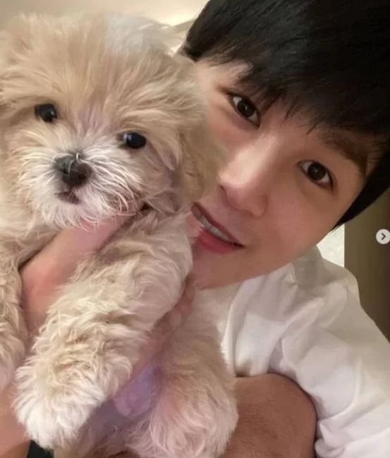 Vanilla, o cachorro que Kim Hee-jae cuidou / Instagram de Kim Hee-jae