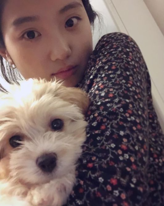 Song Hye-jun agarrou o cachorro de sua ex / Song Hye-jun no Instagram