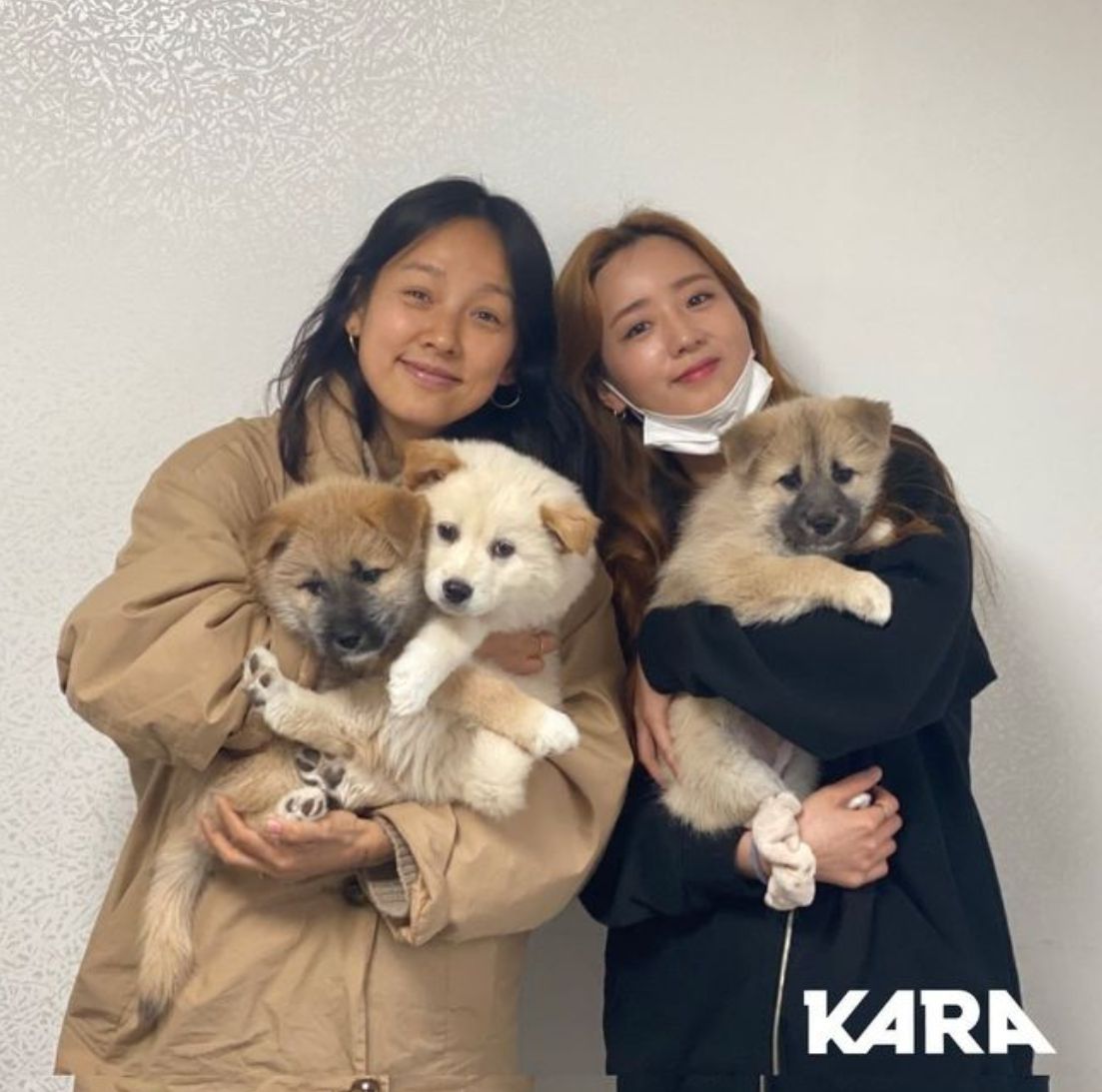 유기견 봉사에 앞장섰던 이효리/animal kara