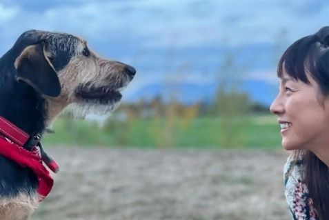 유기견과 가수 이효리와의 방송 출연 /캐나다 인 체크인 방송 인스타그램