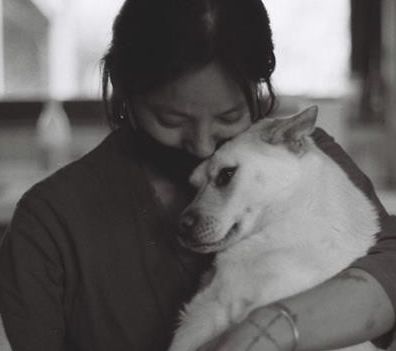 가수 이효리가 유기견을 도와달라는 호소 내용 / 한국일보