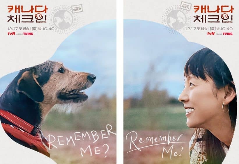 tvN 새 예능 '캐나다 체크인'의 포스터/tvN '캐나다 체크인'