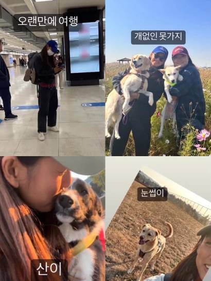 이효리 인스타 /인터넷커뮤니티