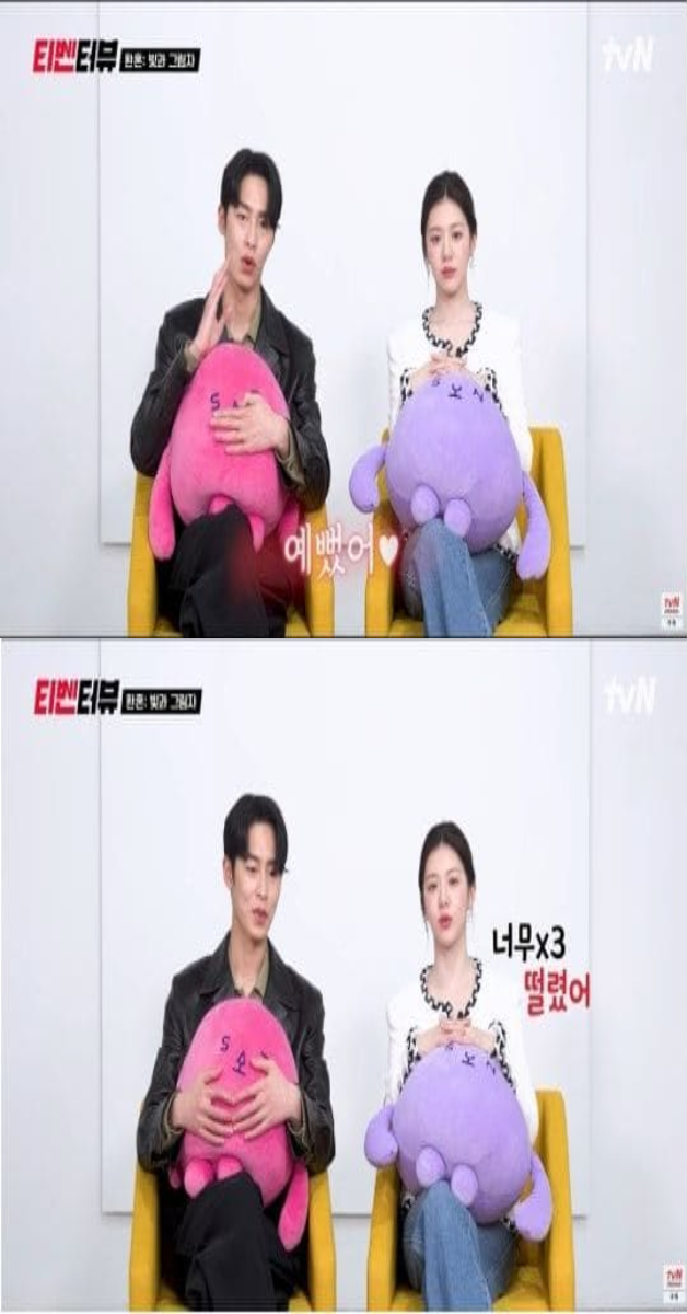 tvN 공식 유튜브 채널 '티벤터뷰' 영상 캡처