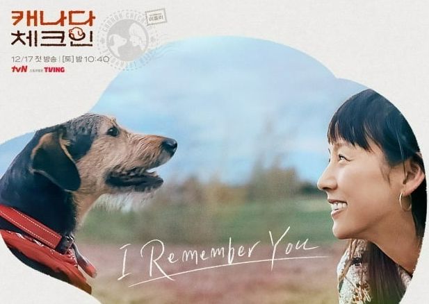 이효리는 유기견 봉사를 꾸준히 해온 바 있다/tvN 예능 ‘캐나다 체크인’ 포스터