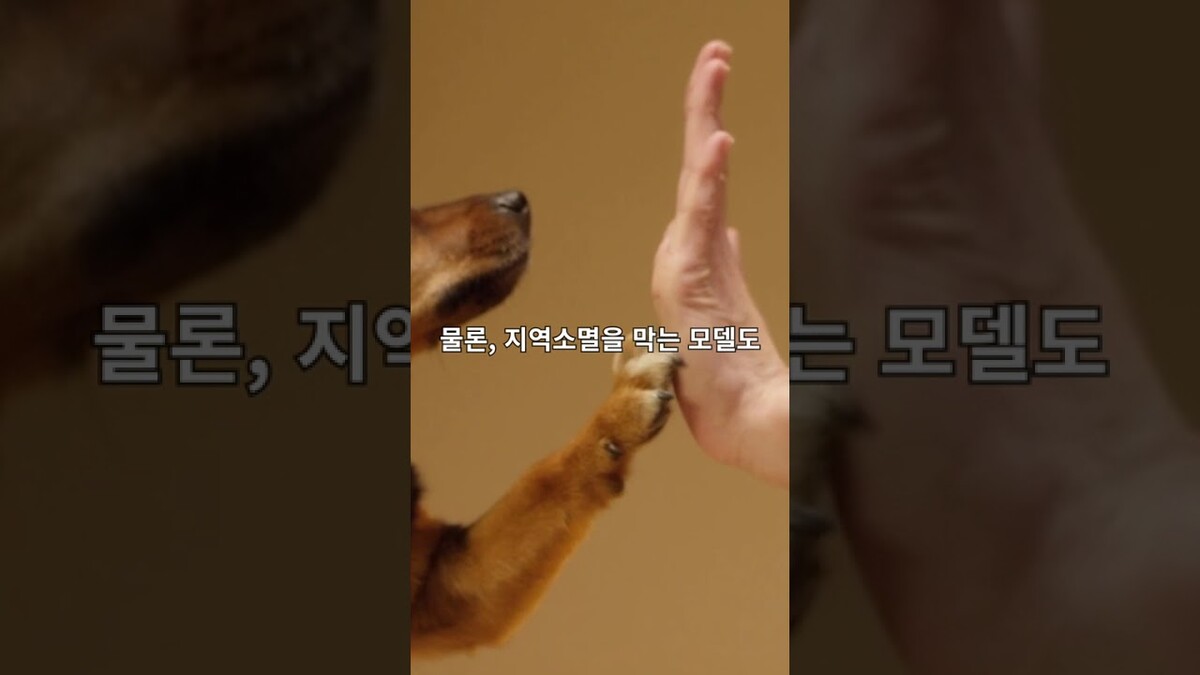 대표 이미지